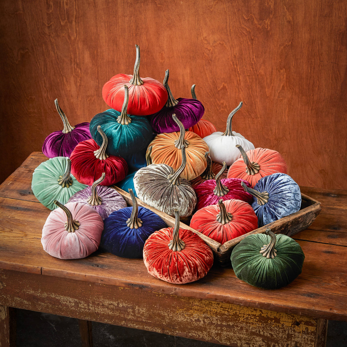 L Velvet Pumpkins