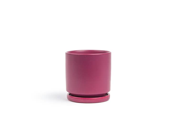 Sangria Fresco Cylinder Pot